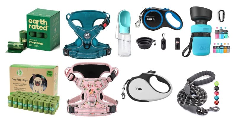dog walking tools