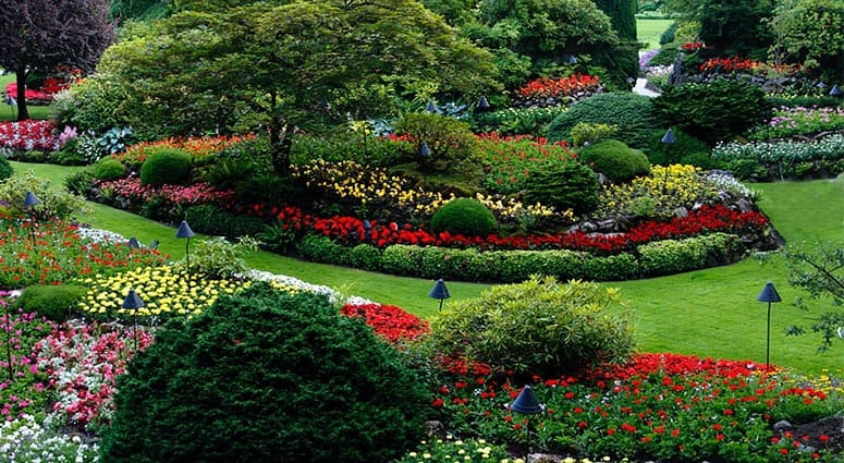 how to start a landscaping company