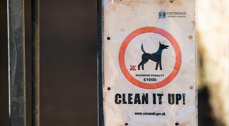 how to star a Poop Scooping company