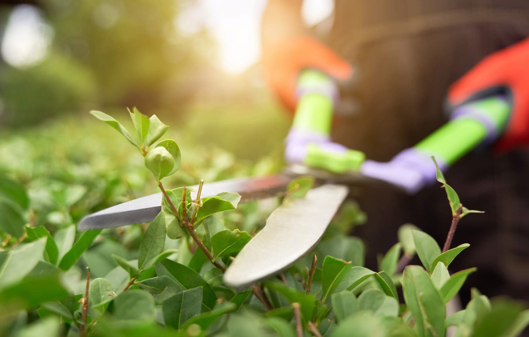 Landscapers at work, the trade Servgrow landscaping software is built for