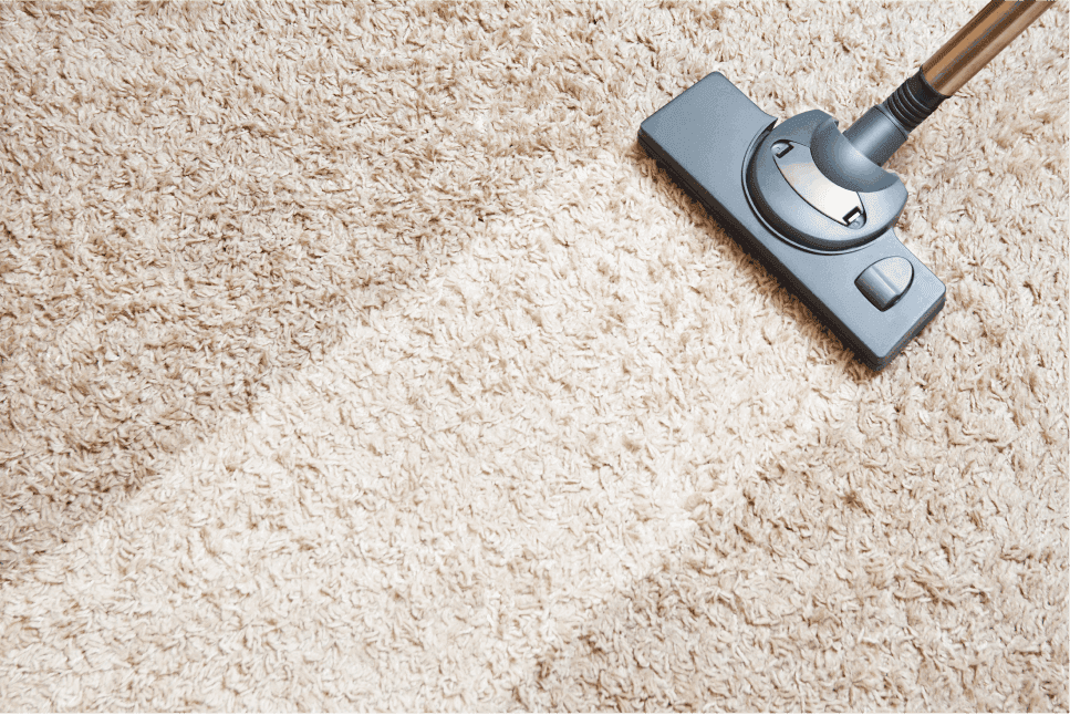 Carpet Cleaning Business Equipment: Everything You Need