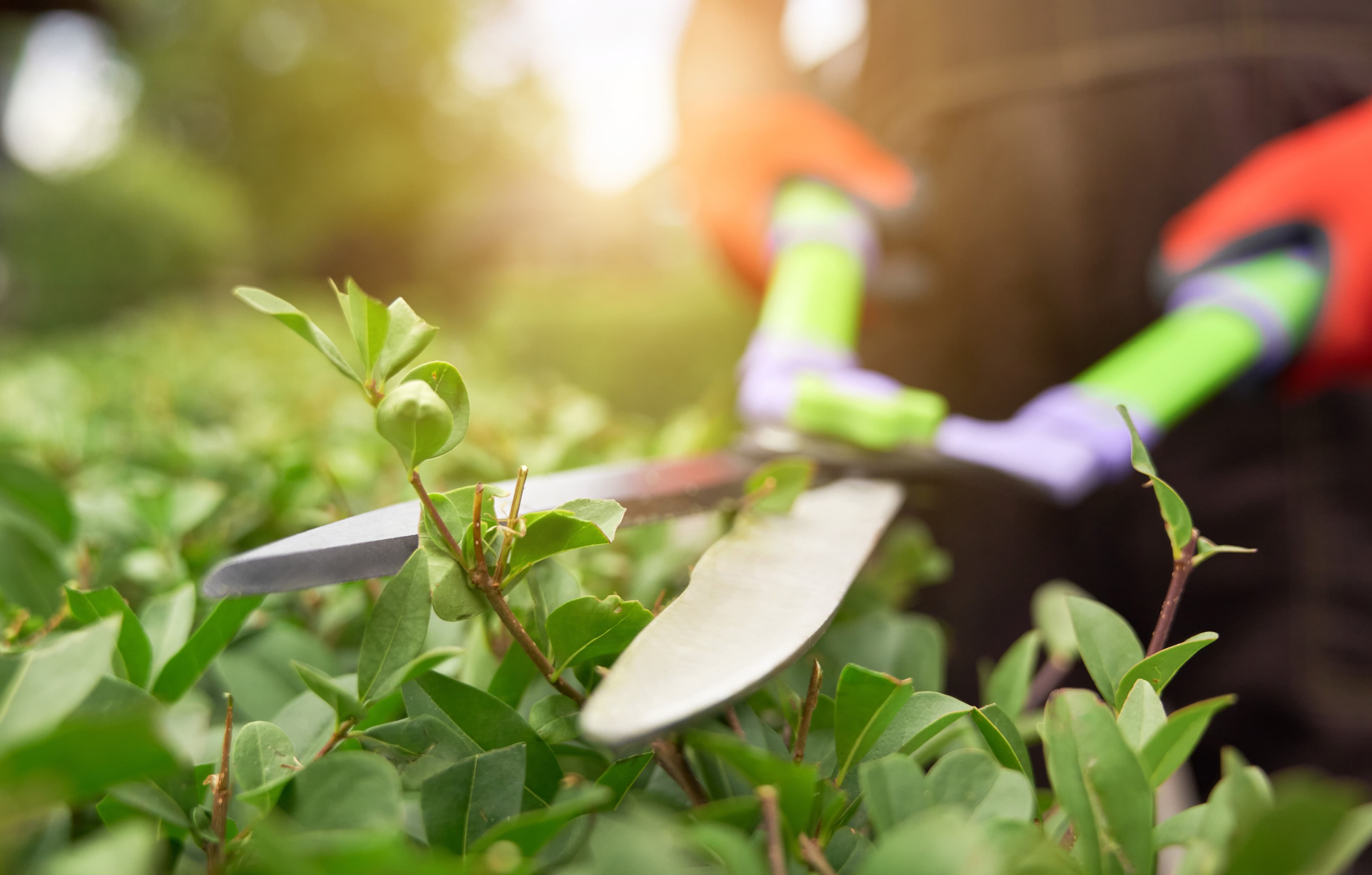 Landscapers at work, the trade Servgrow landscaping software is built for