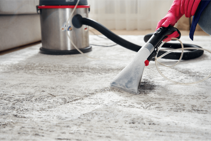 Insurance for Carpet Cleaning Business: Why You Need It