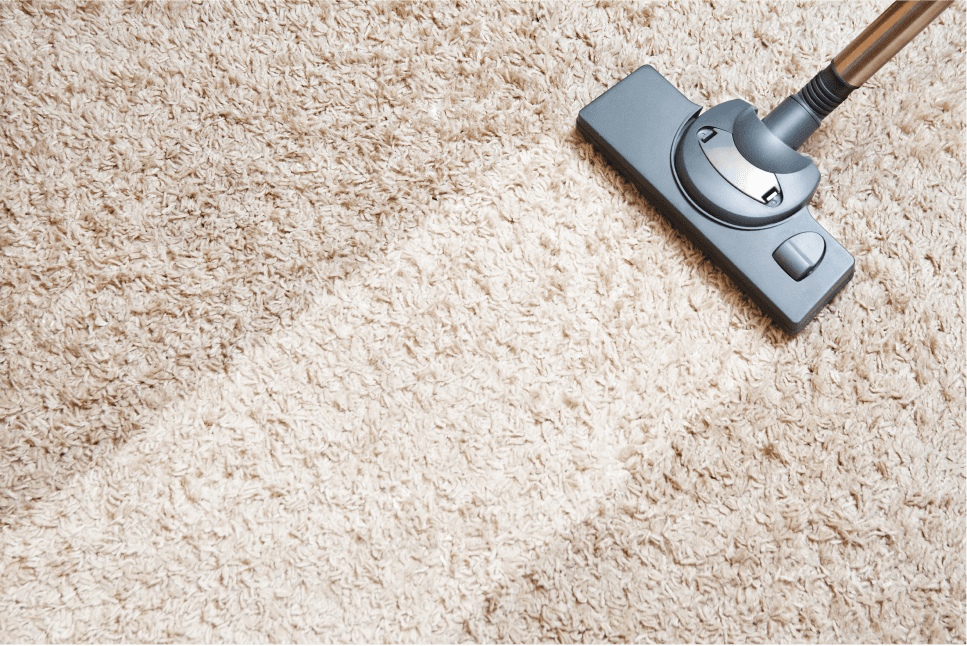 Carpet Cleaning Business Equipment: Everything You Need