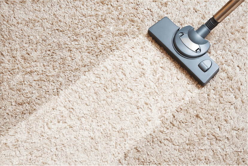 Carpet Cleaning Business Equipment: Everything You Need