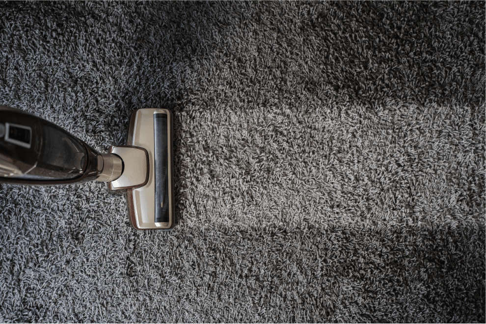 Carpet Cleaning Business Plan: The Ultimate Guide for Pros