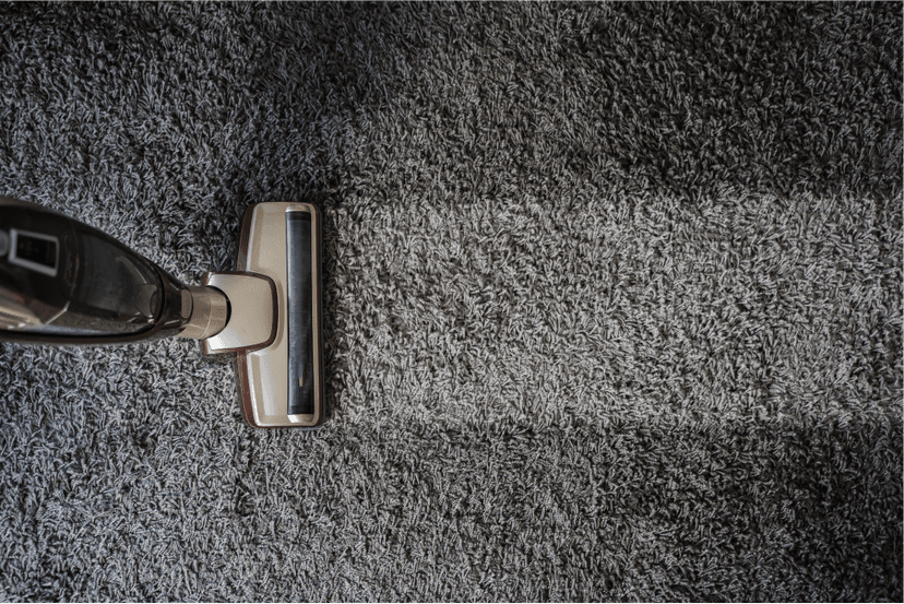 Carpet Cleaning Business Plan: The Ultimate Guide for Pros