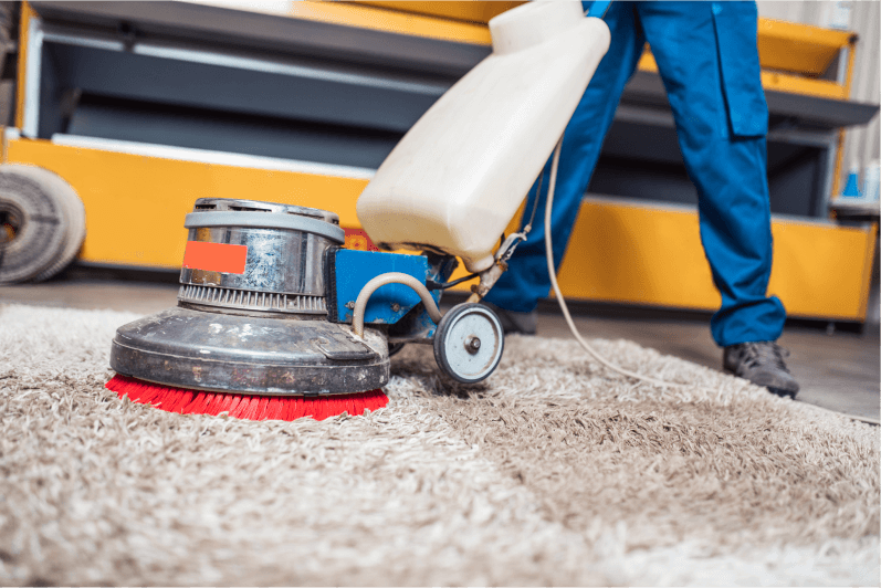 Carpet Cleaning Business Income: A Guide to Solid Incomes