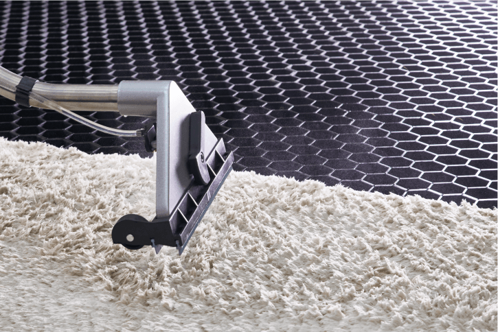 Carpet Cleaning Business Names: How to Choose & Examples