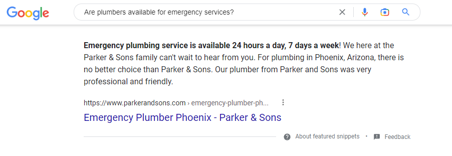 Plumbing Company SEO