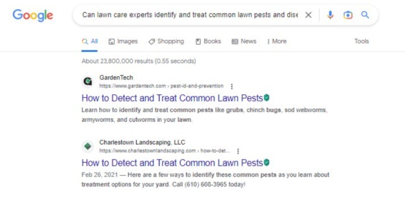 Search Engine Optimization for Lawn Care Experts