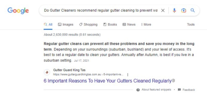 Gutters Company SEO