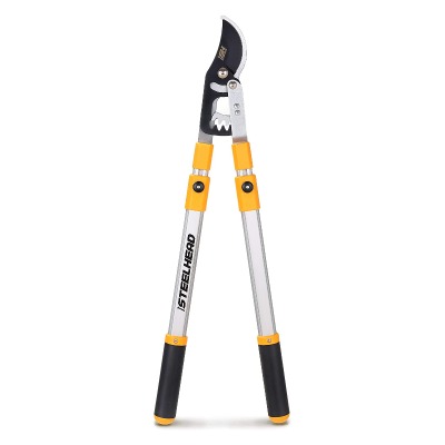 tree arborists tool