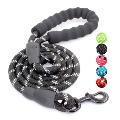 best dog walking tools