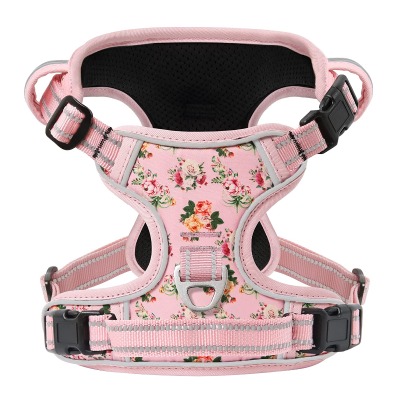 dog walkers tool