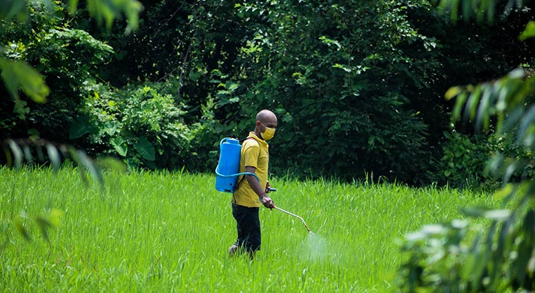 starting a pest control business