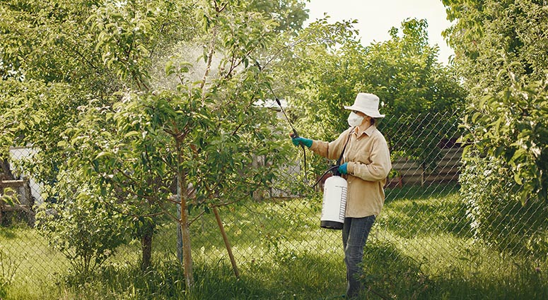 start a pest control business