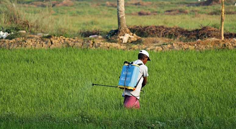 start a business in pest control
