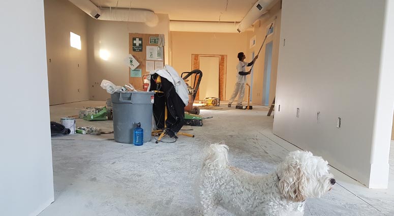 how to start a house cleaning company