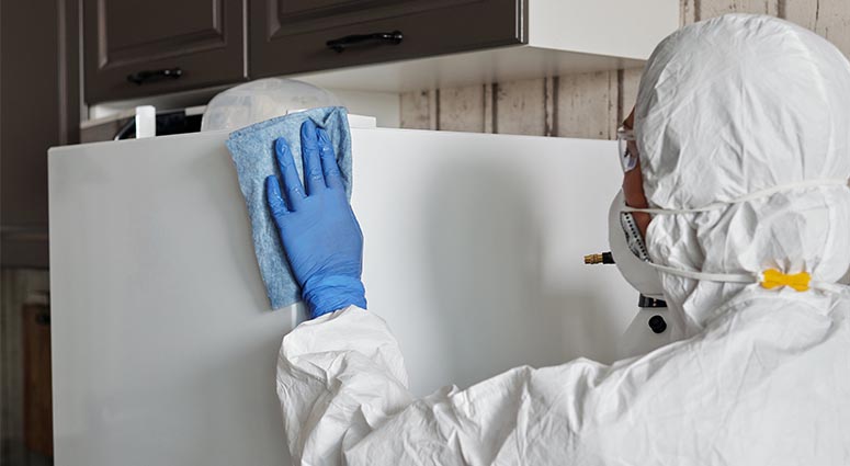 starting a house cleaning business