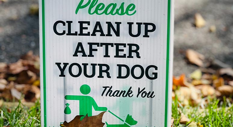 starting a business Poop Scooping